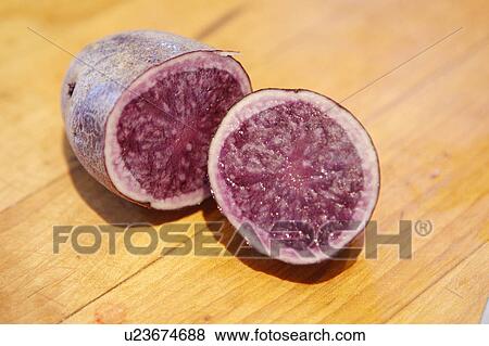 Stock Photo - Peruvian Blue Potato. Fotosearch
