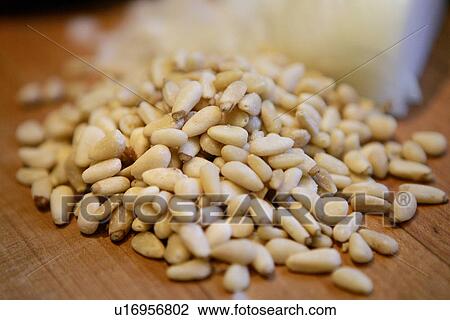 Stock Image - Pine Nuts. Fotosearch