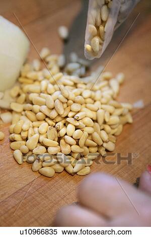 Stock Photography - Pine Nuts. Fotosearch