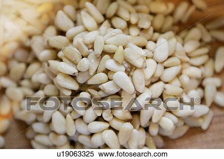 Stock Photography - Pine Nuts. Fotosearch