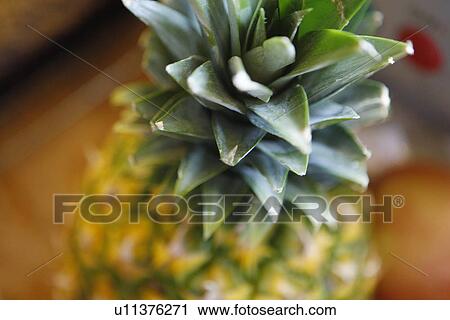 Stock Image - Pineapple Close-Up. Fotosearch