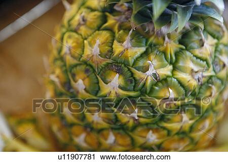 Pineapple Close-Up View Large Photo Image Stock Image - Pineapple Close-Up. Fotosearch