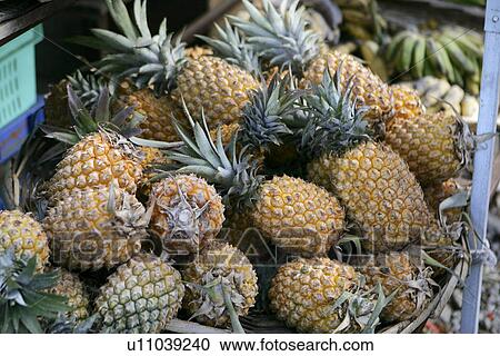Stock Image - Pineapple, Grande Baie, Mauritius. Fotosearch