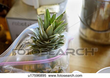 Stock Photography - Pineapple in Packet. Fotosearch
