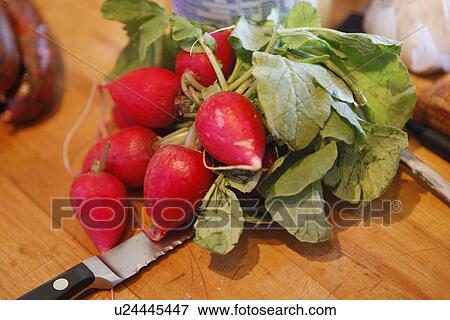 Stock Photo - Radish. Fotosearch