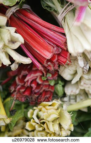 Stock Photo - Rainbow Chard at Farmers Market. Fotosearch
