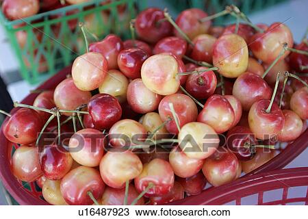 Stock Image - Rainier Cherries. Fotosearch