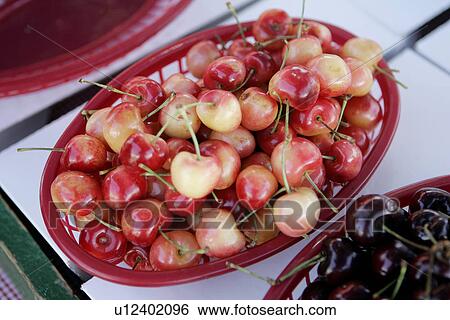 Stock Photograph - Rainier Cherries. Fotosearch