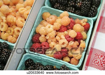 Raspberries and Blackberries at Farmers Market View Large Photo Image Stock Image - Raspberries and Blackberries at Farmers Market. Fotosearch
