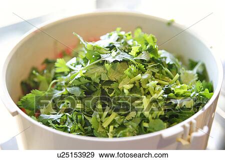 Salad Greens in Mixing Bowl View Large Photo Image Stock Photo - Salad Greens in Mixing Bowl. Fotosearch