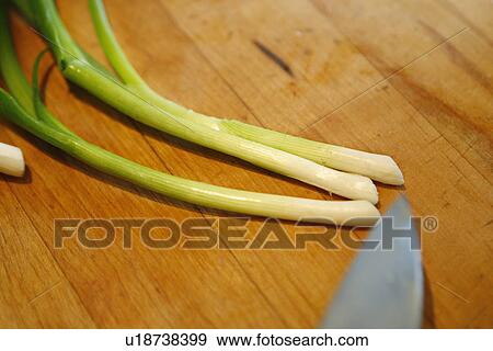 Stock Photo - Scallions. Fotosearch
