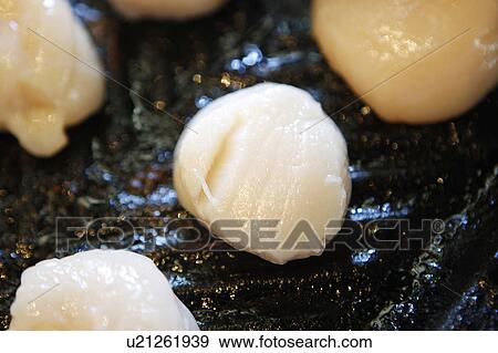 Scallops in Griddle Pan / step shot View Large Photo Image Stock Photo - Scallops in Griddle Pan / step shot. Fotosearch
