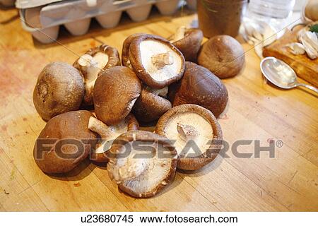 Stock Photography - Shiitake Mushrooms. Fotosearch