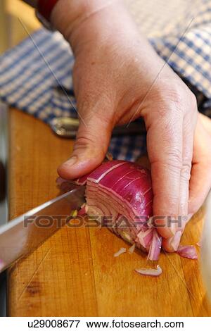 Stock Photo - Slicing Red Onion. Fotosearch