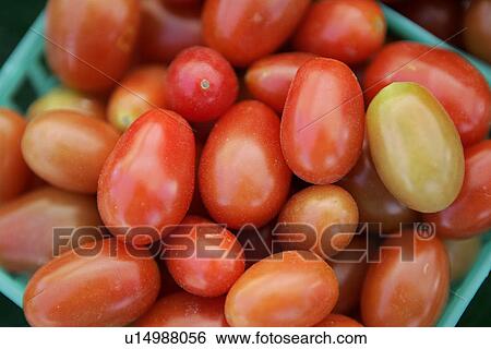 Tomatoes at Farmers Market View Large Photo Image Stock Photograph - Tomatoes at Farmers Market. Fotosearch