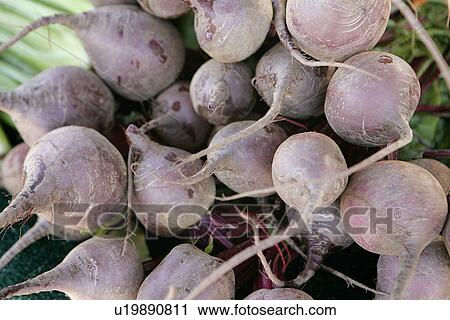 Stock Image - Turnips at Farmers Market. Fotosearch