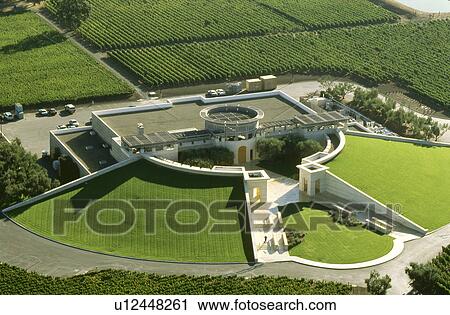 Stock Image - Vineyard. Fotosearch