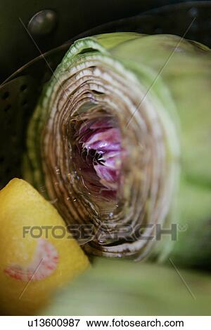Violetto Artichoke with Purple Heart View Large Photo Image Stock Photo - Violetto Artichoke with Purple Heart. Fotosearch