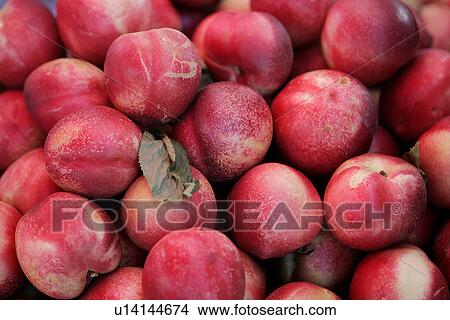 Picture - White Flesh Peaches. Fotosearch