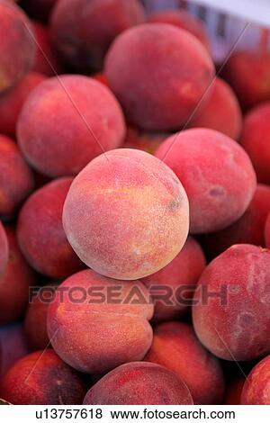Stock Photo - White flesh Peaches. Fotosearch