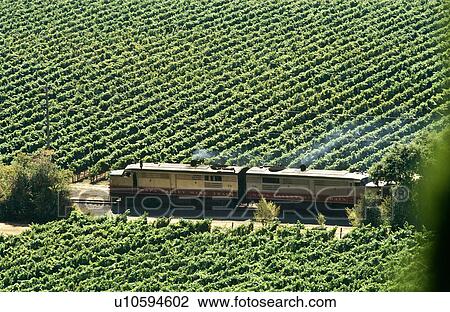 Wine Train, Napa Valley, California, North America View Large Photo Image Stock Image - Wine Train, Napa Valley, California, North America. Fotosearch