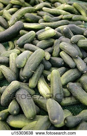 Stock Photo - Zucchini / Courgette at Farmers Market. Fotosearch