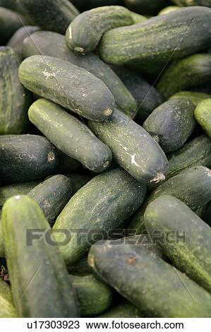 Stock Image - Zucchini / Courgettes at Farmers Market. Fotosearch