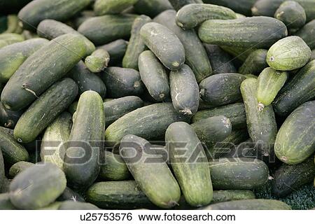 Stock Photograph - Zucchini / Courgettes at Farmers Market. Fotosearch