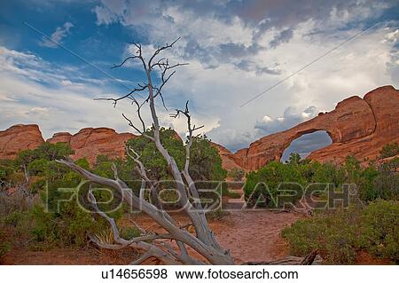 Stock Photo -  arches national park devils garden north america. Fotosearch
