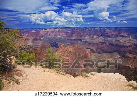 Picture -  az arizona grand canyon national park south rim. Fotosearch