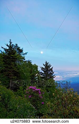 blue ridge parkway virginia north america united View Large Photo Image Stock Image - blue ridge parkway virginia north america united. Fotosearch