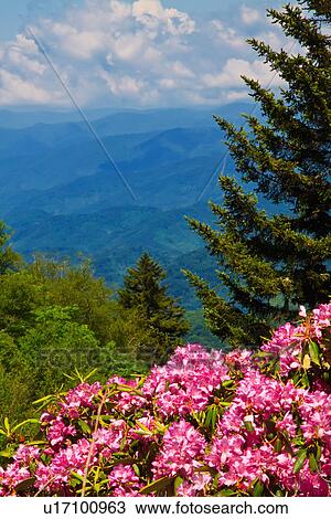 catawba blue ridge parkway virginia north united View Large Photo Image Stock Image - catawba blue ridge parkway virginia north united. Fotosearch