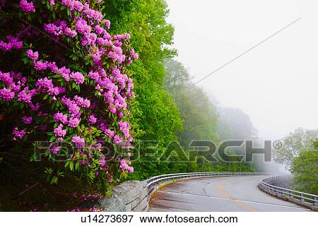 catawba blue ridge parkway virginia north united View Large Photo Image Stock Photo - catawba blue ridge parkway virginia north united. Fotosearch