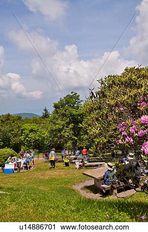 Stock Image -  craggy gardens picnicking picnic area grounds. Fotosearch