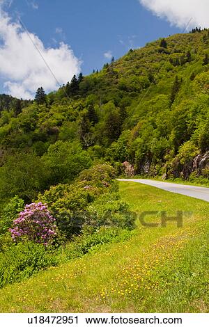 face catawba purple yellow view overlook blue View Large Photo Image Stock Image - face catawba purple yellow view overlook blue . Fotosearch