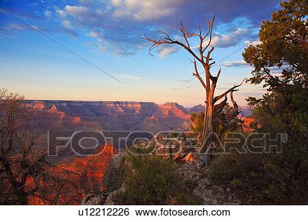 Stock Photograph -  grand canyon national park south rim north grand. Fotosearch