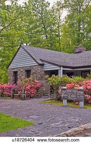 humpback rocks visitor center azalea sp blooming View Large Photo Image Picture - humpback rocks visitor center azalea sp blooming. Fotosearch