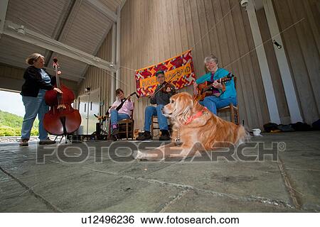 music tree blue ridge center buck mountain band View Large Photo Image Stock Photograph - music tree blue ridge center buck mountain band . Fotosearch