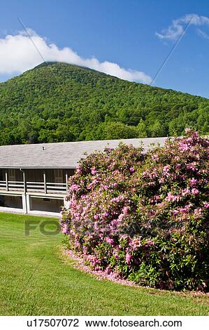 peaks otter blue ridge parkway virginia View Large Photo Image Stock Image - peaks otter blue ridge parkway virginia . Fotosearch