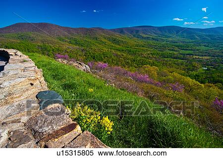 Stock Photography -  shenandoah national park virginia north america. Fotosearch