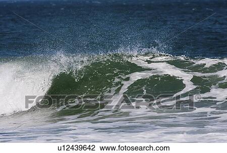 water ocean sea wave breaker crest trough curl View Large Photo Image Stock Image - water ocean sea wave breaker crest trough curl . Fotosearch