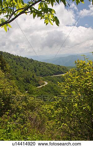 waterrock knob overlook area blue ridge parkway View Large Photo Image Stock Image - waterrock knob overlook area blue ridge parkway. Fotosearch