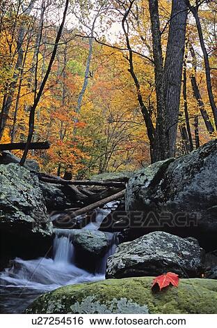 white oak canyon shenandoah national park north View Large Photo Image Stock Photograph - white oak canyon shenandoah national park north. Fotosearch