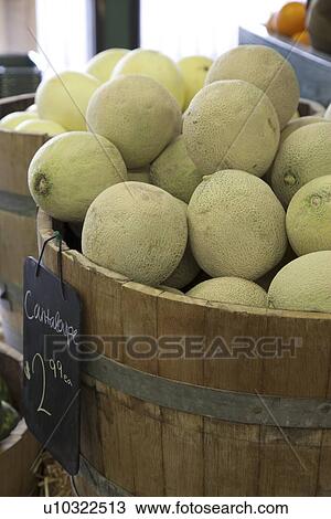 Close-up of Cantaloupe melons on display for sale in market View Large Photo Image Stock Image - Close-up of Cantaloupe melons on display for sale in market. Fotosearch