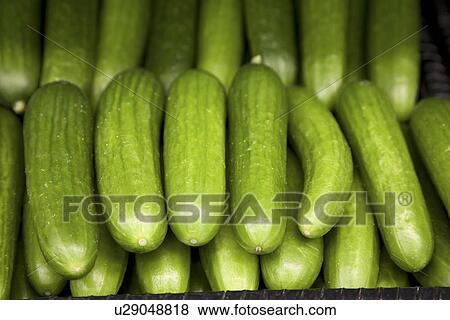 Close-up of cucumber on display in market View Large Photo Image Stock Photo - Close-up of cucumber on display in market. Fotosearch