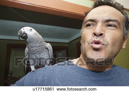Stock Image - Close-up of mature man with parrot on shoulder. Fotosearch