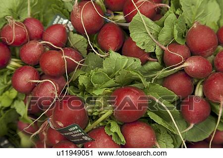 Stock Image - Close-up of raw radish on display in market. Fotosearch
