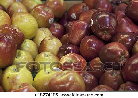 Close-up of red apples on display in market View Large Photo Image Stock Photography - Close-up of red apples on display in market. Fotosearch