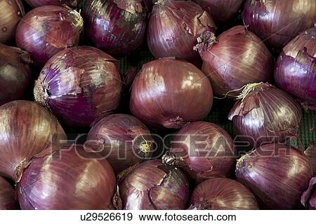 Stock Photo - Close-up of red onion on display in market. Fotosearch