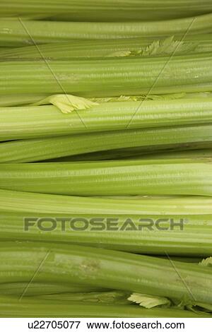 Close-up of spring onions View Large Photo Image Stock Photo - Close-up of spring onions. Fotosearch